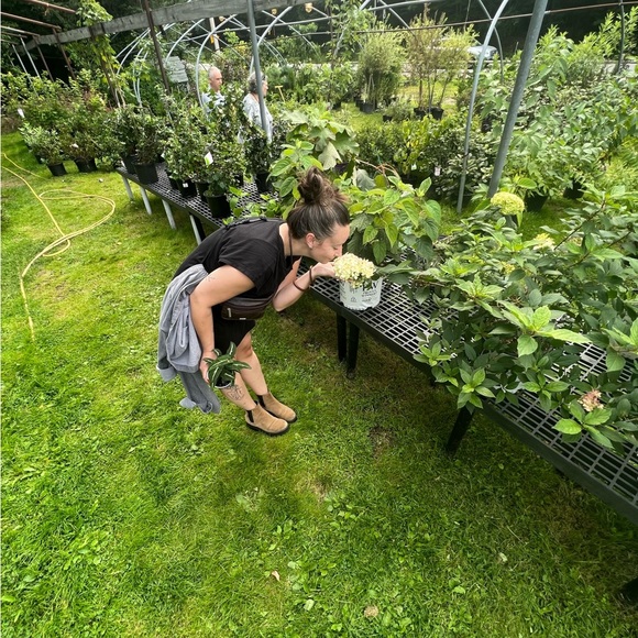 Meet your Posher, Samantha - Picture 5 of 5